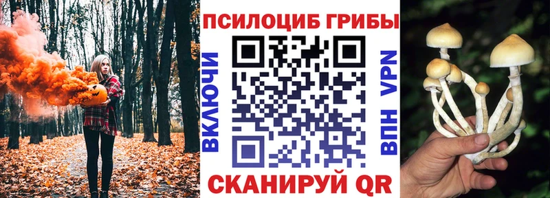 Галлюциногенные грибы ЛСД  Козельск 